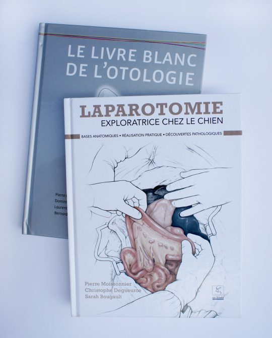 La laparotomie exploratrice chez le chien & Le livre blanc de l’ontologie